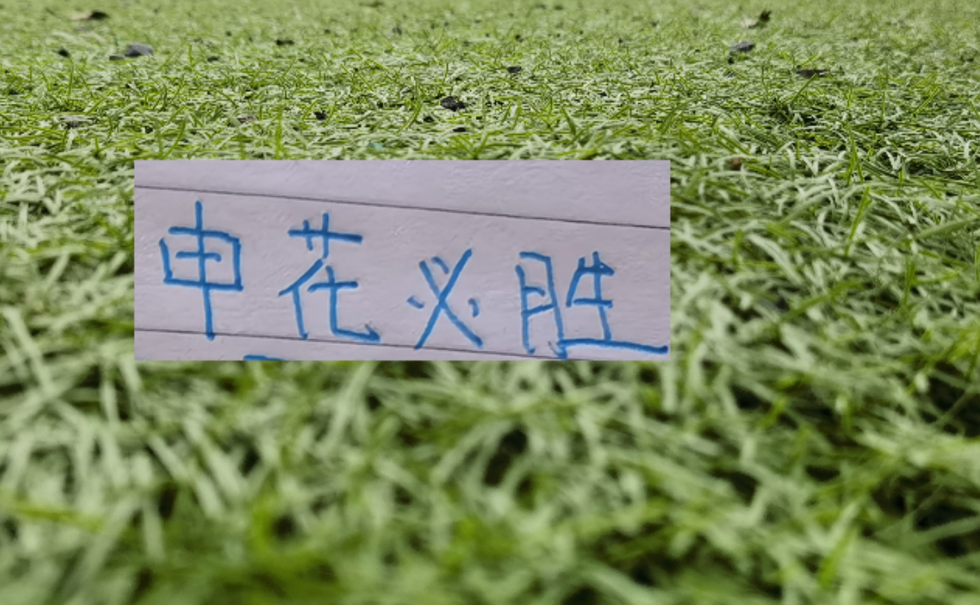 OB电竞app下载-第8轮中超未扣分纯净版！可能才是申花球迷最想要积分榜